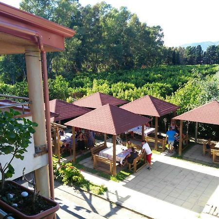 B&B Pineta Mare Ламеція-Терме Екстер'єр фото