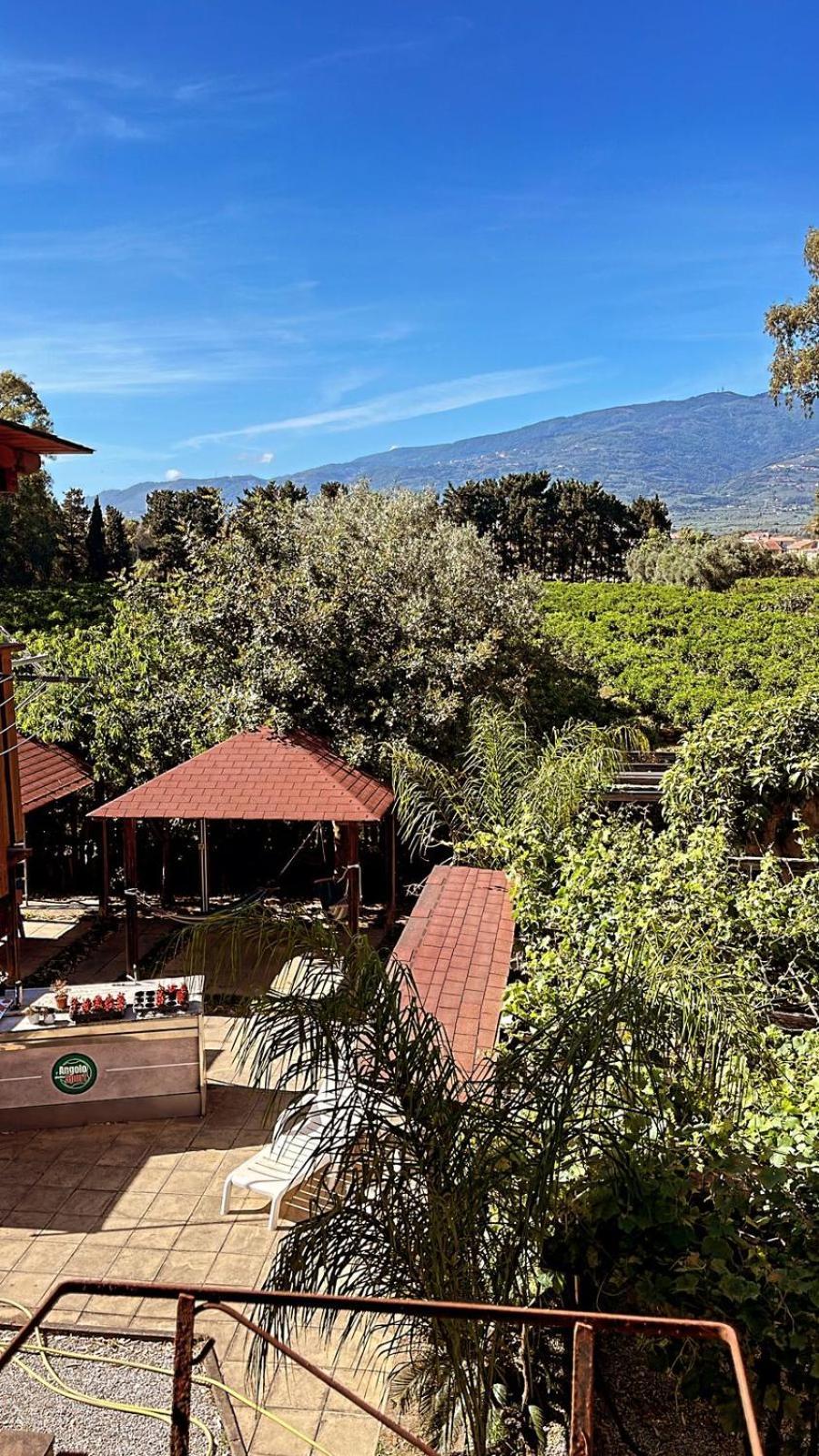 B&B Pineta Mare Ламеція-Терме Екстер'єр фото